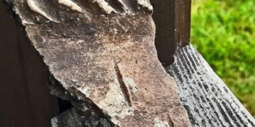 В Кузбассе археологи нашли посуду древних людей на территории спортивного лагеря