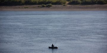 Ученые Томска и Европы провели «ревизию» рыб в озерах и реках России