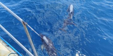 Вернулись на Родину!: Команда Russian Ocean Way подошла к российскому берегу в Анапе 30 июля